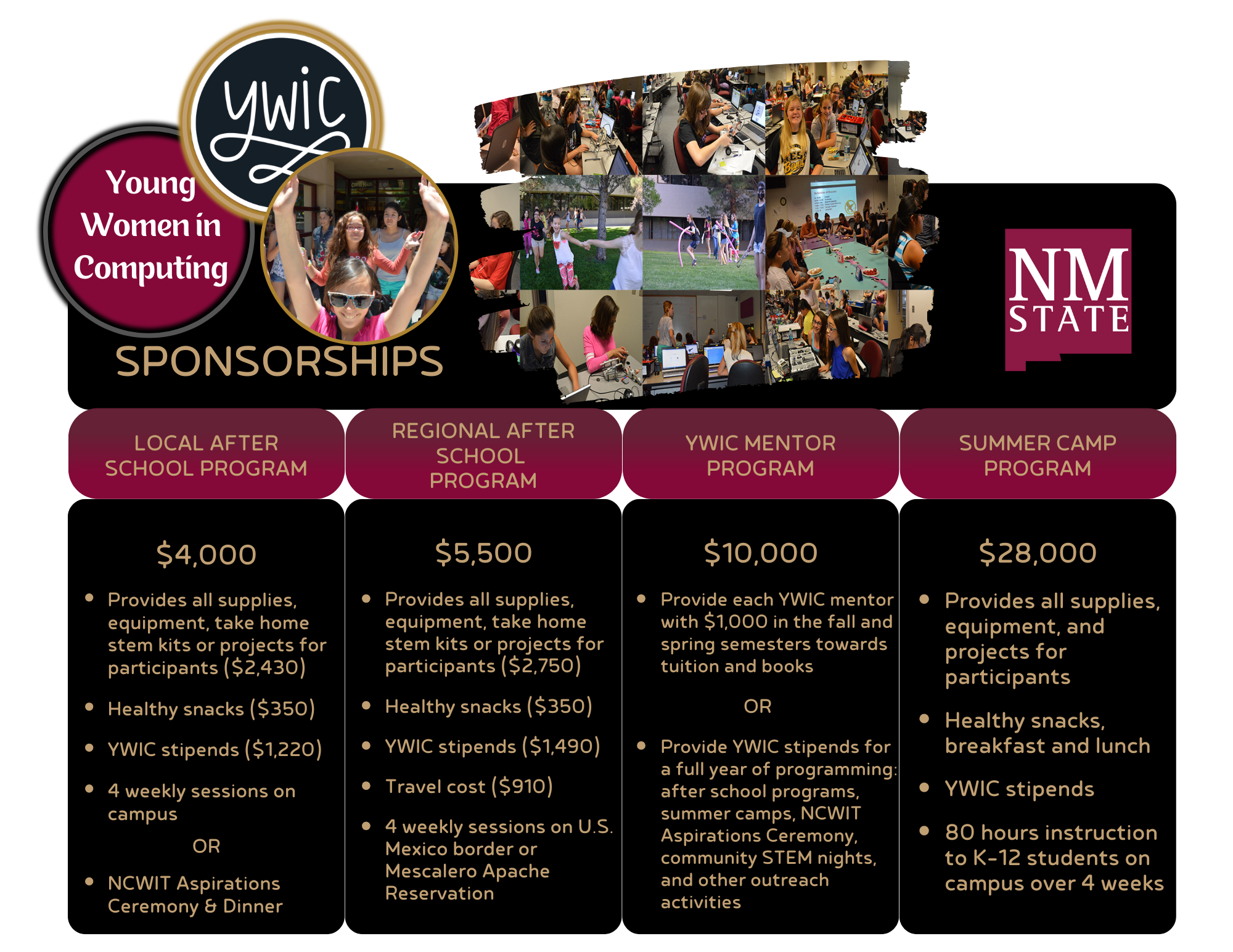 Sponsorship Amounts
